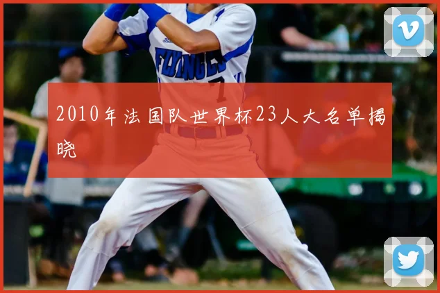 2010年法国队世界杯23人大名单揭晓
