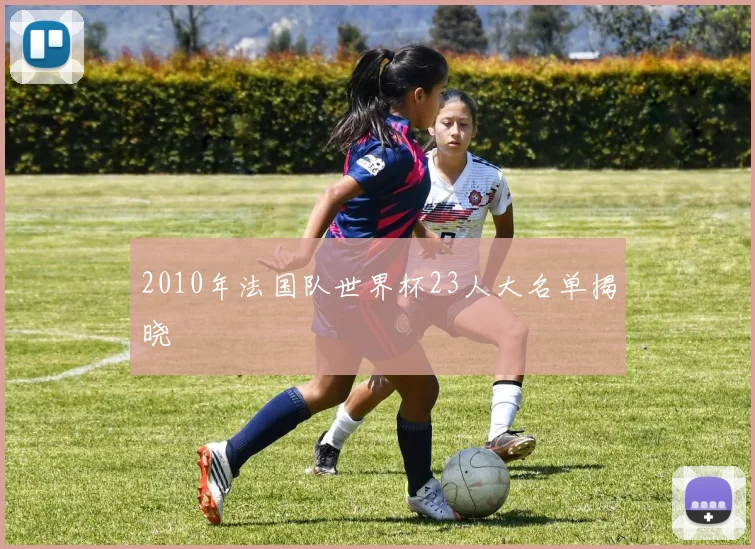 2010年法国队世界杯23人大名单揭晓