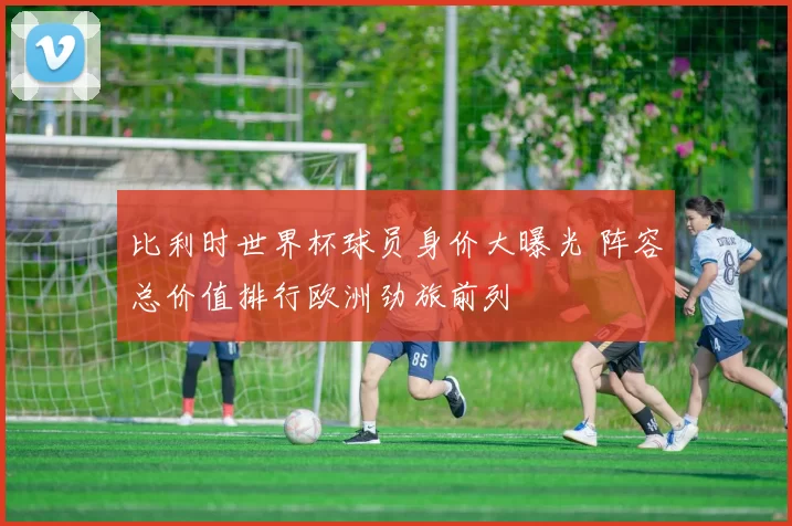比利时世界杯球员身价大曝光 阵容总价值排行欧洲劲旅前列