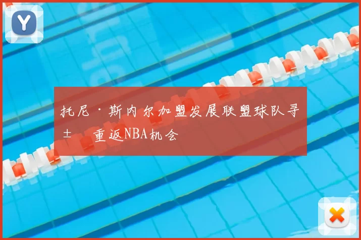 托尼·斯内尔加盟发展联盟球队寻求重返NBA机会