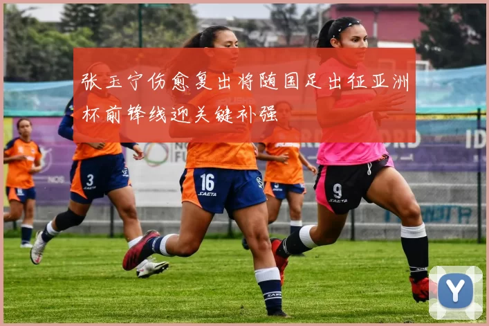 张玉宁伤愈复出将随国足出征亚洲杯前锋线迎关键补强