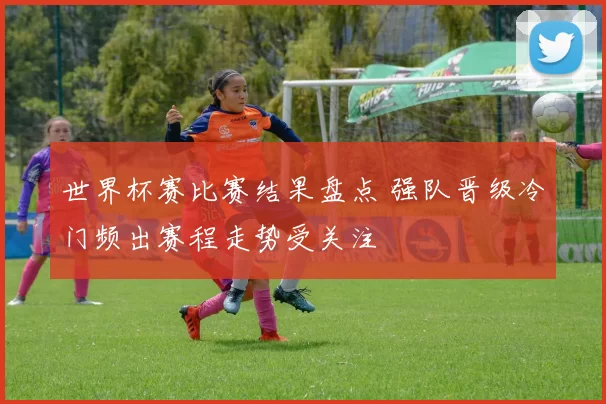 世界杯赛比赛结果盘点 强队晋级冷门频出赛程走势受关注