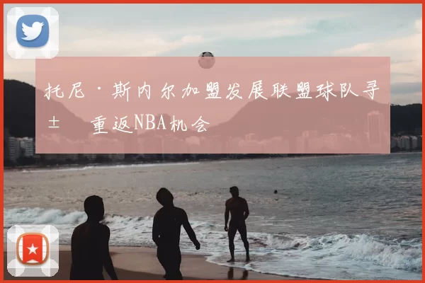 托尼·斯内尔加盟发展联盟球队寻求重返NBA机会